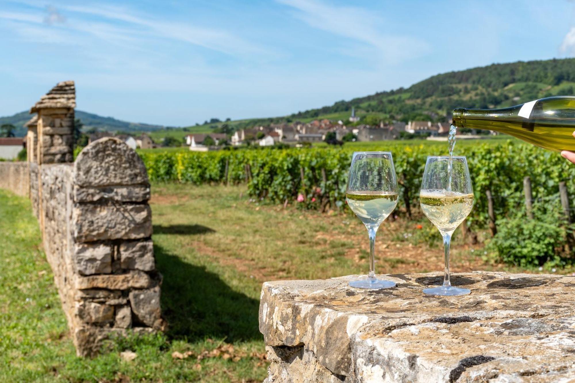 Charmante Maison Climatisee Avec Son Jardin A 10 Minutes De Dijon Marsannay-la-Côte Buitenkant foto